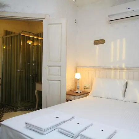 فندق مبيت وإفطار Mina 2*