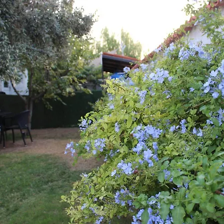 Mina فندق مبيت وإفطار