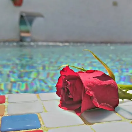 Mina ألاتشاتي